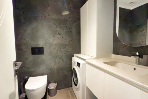 1+1 Wohnung  in Alanya, Antalya, Türkei Nr. 216727 - 17