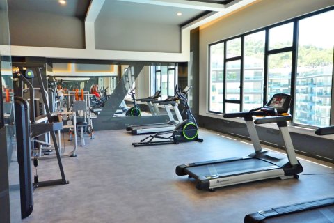 1+1 Wohnung in Alanya, Antalya, Türkei Nr. 216728 - 18