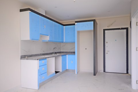 1+1 Wohnung in Alanya, Antalya, Türkei Nr. 216729 - 4