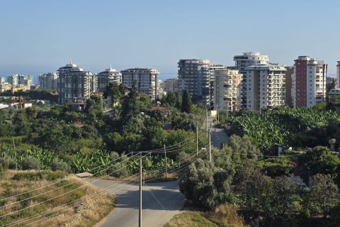 Аренда квартиры  в Аланье, Анталье, Турция 1+1, 44м2, №216731 – фото 10