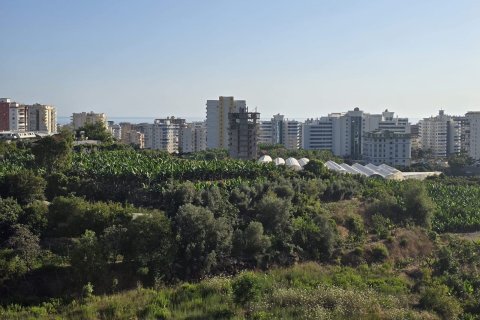 Аренда квартиры  в Аланье, Анталье, Турция 1+1, 44м2, №216731 – фото 9