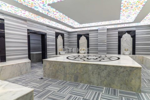 4+1 Penthäuser  in Alanya, Antalya, Türkei Nr. 223446 - 27