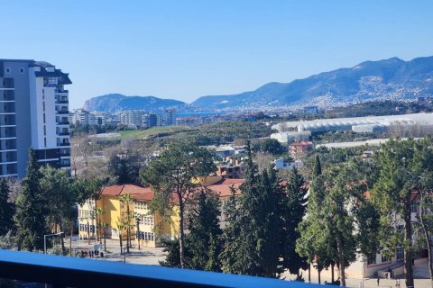 1+0 Wohnung in Mahmutlar, Antalya, Türkei Nr. 224918 - 5
