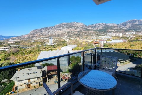 1+0 Wohnung in Mahmutlar, Antalya, Türkei Nr. 224918 - 6
