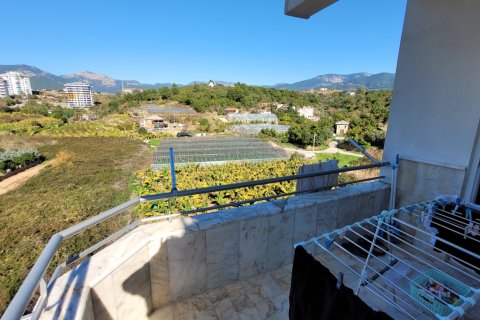 1+1 Wohnung  in Alanya, Antalya, Türkei Nr. 220028 - 10