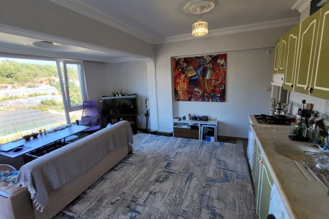 1+1 Wohnung  in Alanya, Antalya, Türkei Nr. 220028 - 2