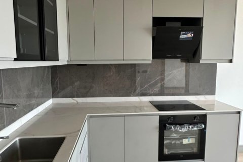 1+0 Wohnung  in Kestel, Antalya, Türkei Nr. 228412 - 12