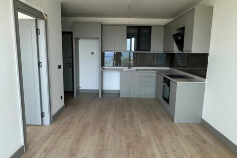 1+0 Wohnung  in Kestel, Antalya, Türkei Nr. 228412 - 2