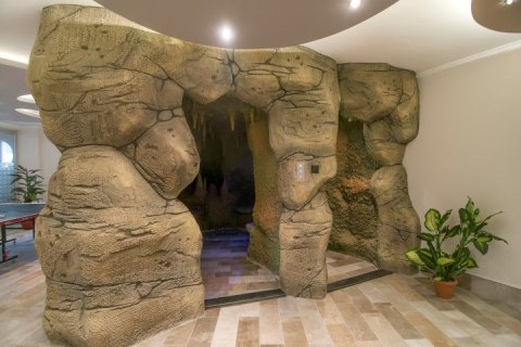 1+1 Wohnung  in Kestel, Antalya, Türkei Nr. 228413 - 21