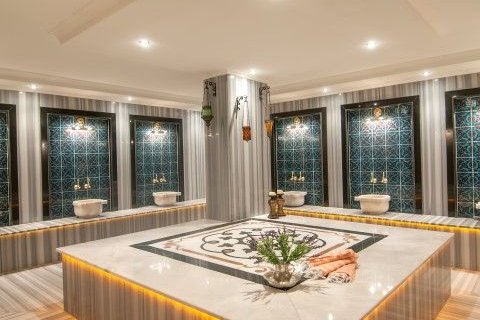 1+1 Wohnung  in Kestel, Antalya, Türkei Nr. 228413 - 22