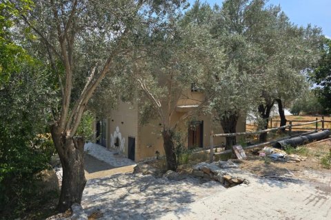 Villa  i Gazipasa, Antalya, Tyrkiet Nr. 215974 - 22