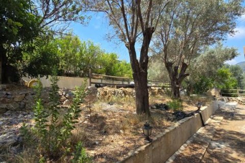 Villa  i Gazipasa, Antalya, Tyrkiet Nr. 215974 - 27