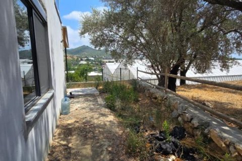 Villa  i Gazipasa, Antalya, Tyrkiet Nr. 215974 - 29