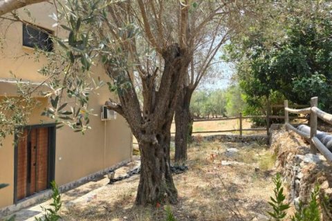 Villa  i Gazipasa, Antalya, Tyrkiet Nr. 215974 - 21