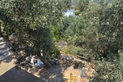 Villa  i Gazipasa, Antalya, Tyrkiet Nr. 215974 - 30