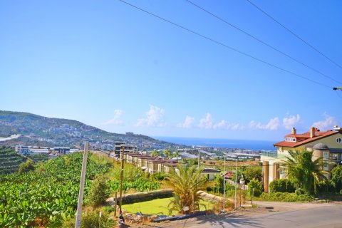 ویلا در Alanya ، ترکیه 3 خوابه ، 300 متر مربع. شماره 217798 - 11