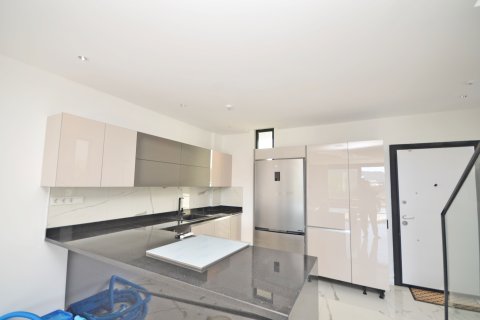 ویلا در Alanya ، ترکیه 3 خوابه ، 300 متر مربع. شماره 217798 - 4