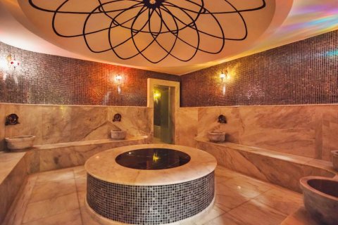 Daire  3+1  Alanya, Antalya, Türkiye №217416 - 18