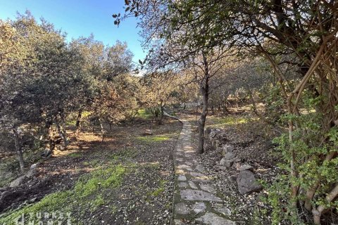 2+1 Lejlighed i Gumusluk, Mugla, Tyrkiet Nr. 233157 - 20