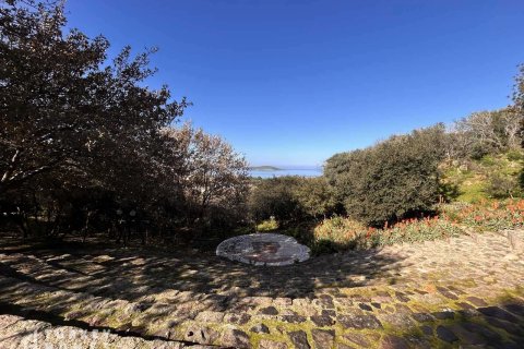 2+1 Lejlighed i Gumusluk, Mugla, Tyrkiet Nr. 233157 - 22