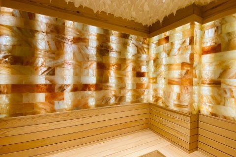 1+1 Leilighet  i Mahmutlar, Antalya, Tyrkia Nr. 216305 - 21