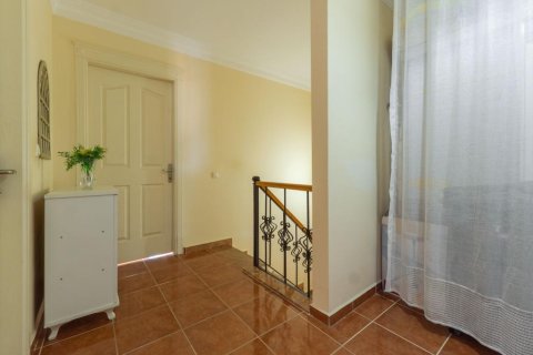 Lägenhet  i Mahmutlar, Antalya, Turkiet Nr. 216960 - 19