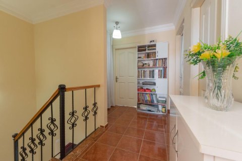 Lägenhet  i Mahmutlar, Antalya, Turkiet Nr. 216960 - 18