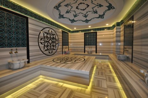 1+1 Lejlighed  i Alanya, Antalya, Tyrkiet Nr. 211487 - 16