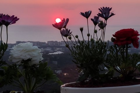 3+1 Villa i Mahmutlar, Antalya, Tyrkia Nr. 227111 - 21