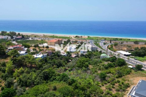 Продажа квартиры  в Аланье, Анталье, Турция, 1000м2, №211267 – фото 15