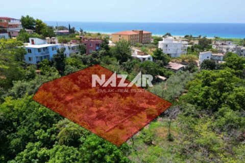 Продажа квартиры  в Аланье, Анталье, Турция, 1000м2, №211267 – фото 3