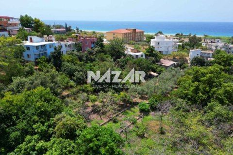 Продажа квартиры  в Аланье, Анталье, Турция, 1000м2, №211267 – фото 14