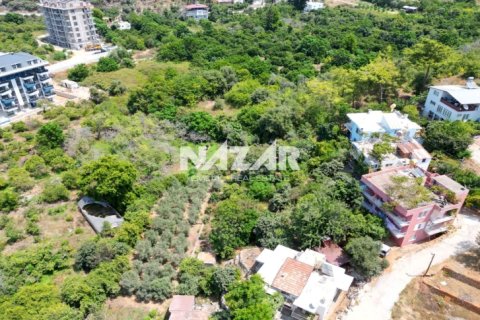 Продажа квартиры  в Аланье, Анталье, Турция, 1000м2, №211267 – фото 6