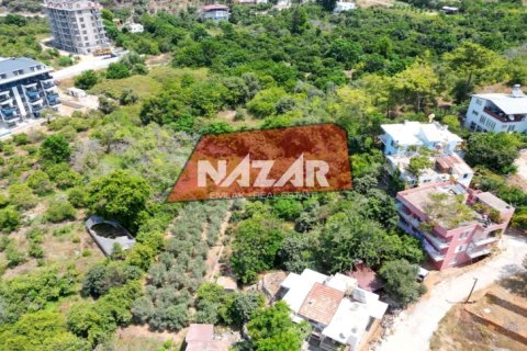 Продажа квартиры  в Аланье, Анталье, Турция, 1000м2, №211267 – фото 17