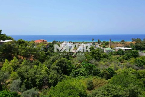 Продажа квартиры  в Аланье, Анталье, Турция, 1000м2, №211267 – фото 13