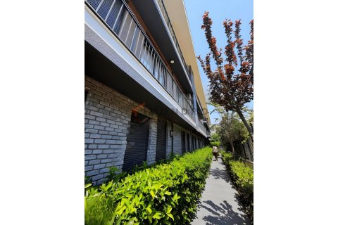 1+1 Lägenhet  i Aksu, Antalya, Turkiet Nr. 214853 - 11