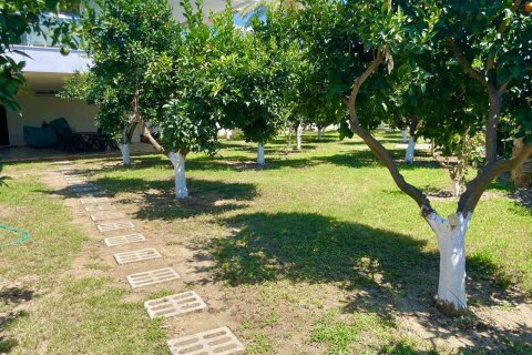 آپارتمان در  Cikcilli ، ترکیه 3 خوابه ، 165 متر مربع.  شماره 218862 - 24