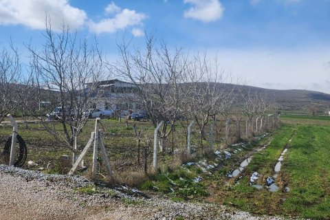 Villa for sale in Ayvalik, Balikesir, Turkey, 1 bedroom, 85m2, No. 232374 – photo 9