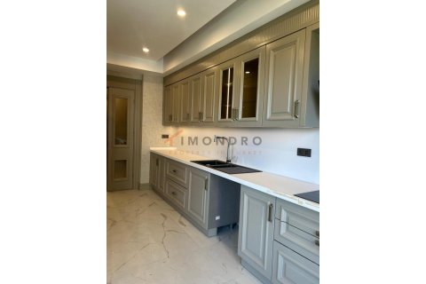 3+1 Lägenhet  i Zeytinburnu, Istanbul, istanbul, Turkiet Nr. 215791 - 16