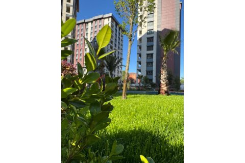 3+1 Lägenhet  i Zeytinburnu, Istanbul, istanbul, Turkiet Nr. 215791 - 2