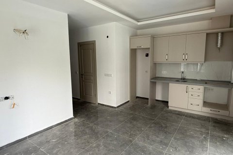 آپارتمان در  Mahmutlar ، ترکیه 1 خوابه ، 55 متر مربع.  شماره 216413 - 11