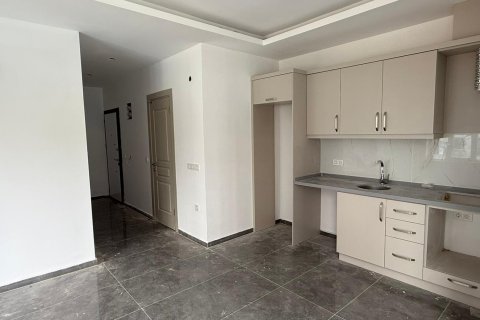 آپارتمان در  Mahmutlar ، ترکیه 1 خوابه ، 55 متر مربع.  شماره 216413 - 14