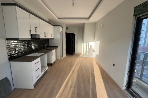 آپارتمان در  Mahmutlar ، ترکیه 1 خوابه ، 55 متر مربع.  شماره 216411 - 10