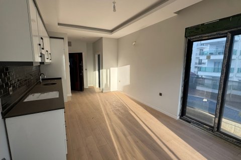 آپارتمان در  Mahmutlar ، ترکیه 1 خوابه ، 55 متر مربع.  شماره 216411 - 13