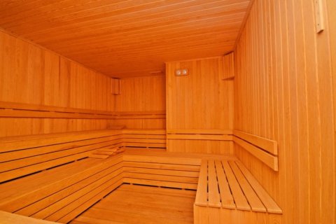 3+1 Wohnung  in Alanya, Antalya, Türkei Nr. 216780 - 9