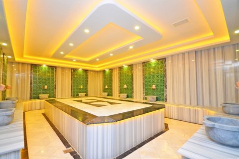 3+1 Wohnung  in Alanya, Antalya, Türkei Nr. 216780 - 10