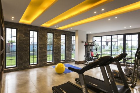 1+1 Wohnung  in Alanya, Antalya, Türkei Nr. 216779 - 20