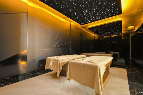 1+1 Wohnung  in Alanya, Antalya, Türkei Nr. 219024 - 22