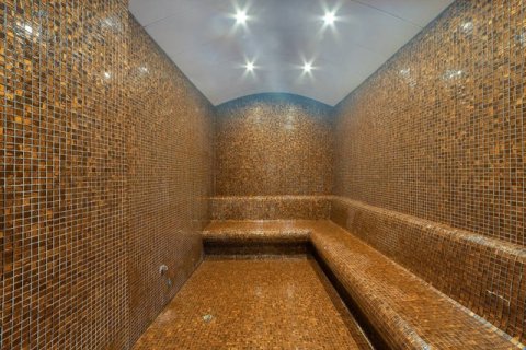 1+1 Wohnung  in Antalya, Türkei Nr. 222773 - 13