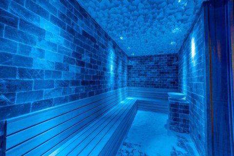 1+1 Wohnung  in Antalya, Türkei Nr. 222773 - 15